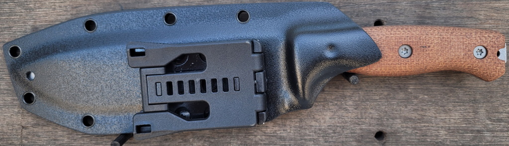 ODC170_7.jpg