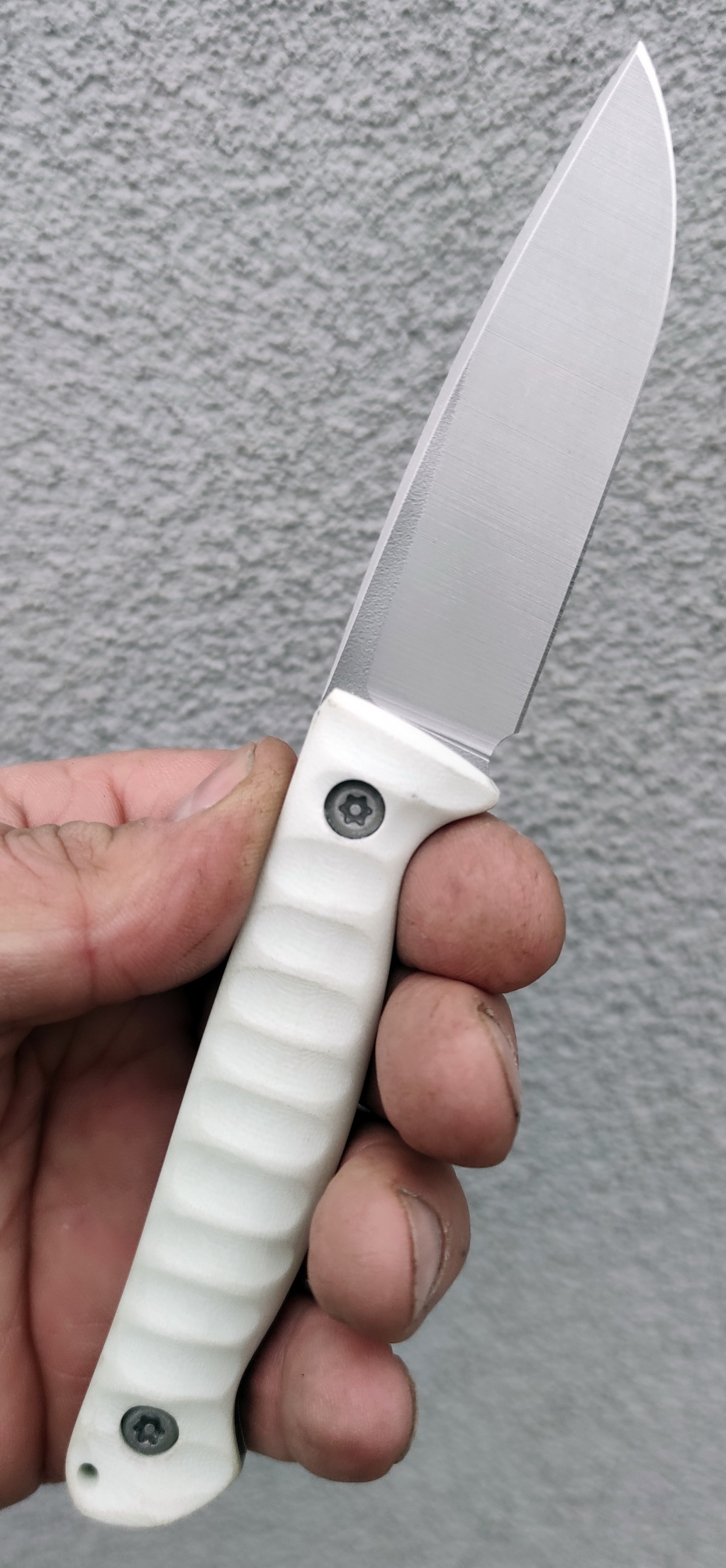 M2_W_4.jpg