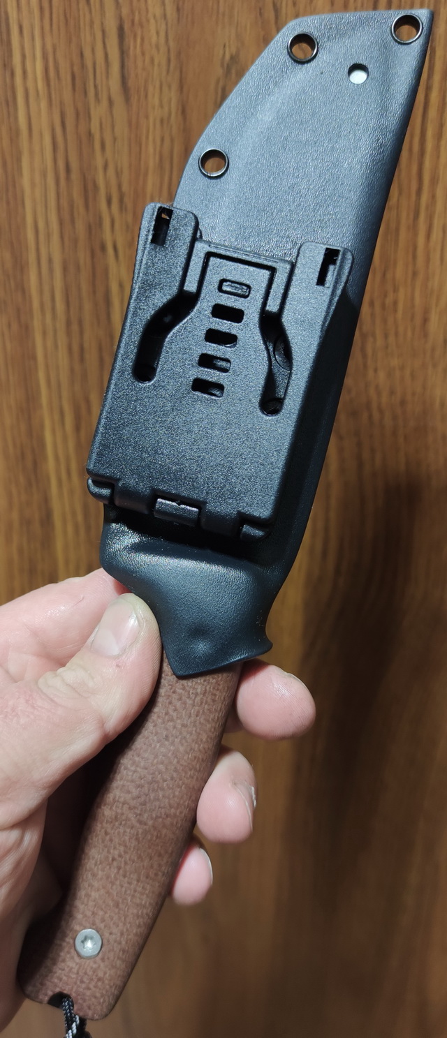 ODC159Sleip_1.jpg