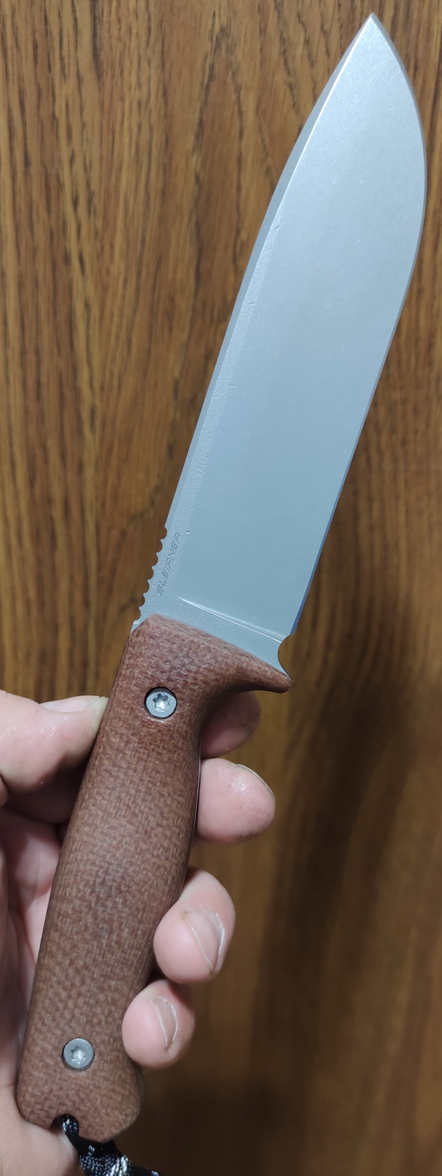 ODC159Sleip_2.jpg