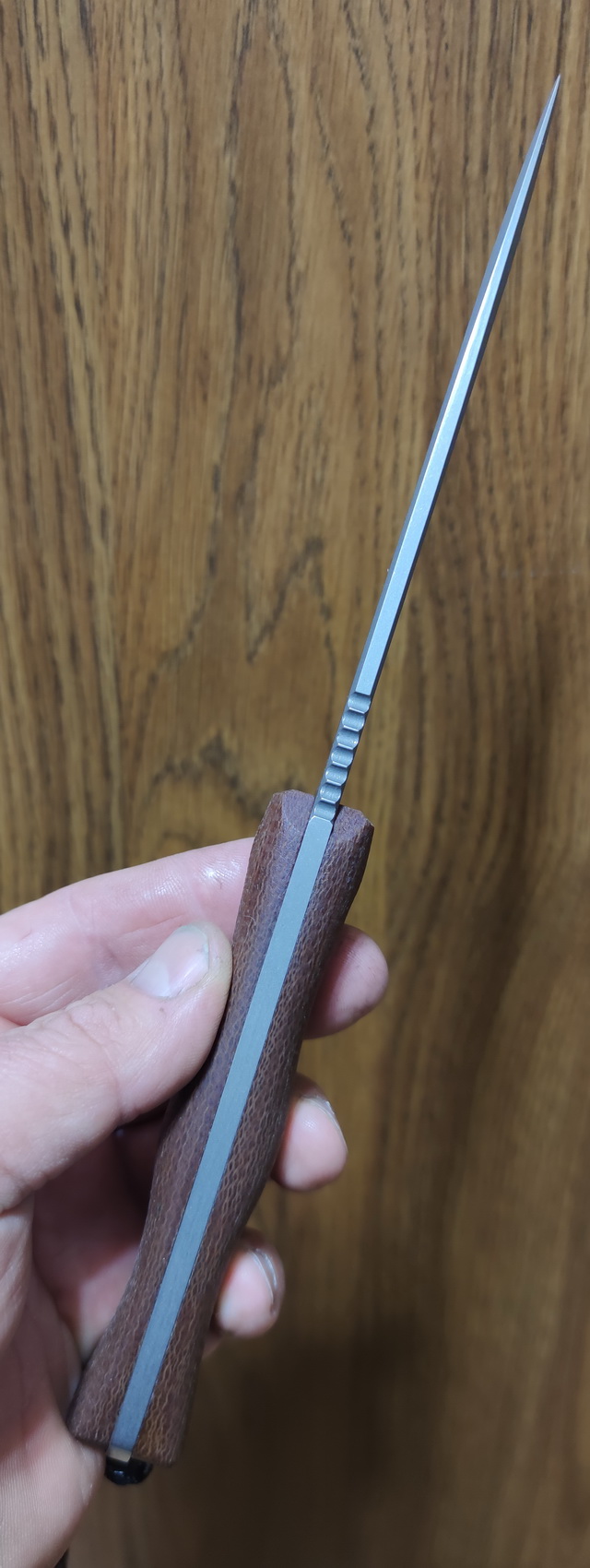 ODC159Sleip_3.jpg
