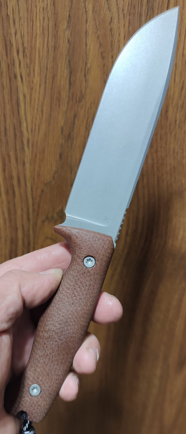 ODC159Sleip_4.jpg