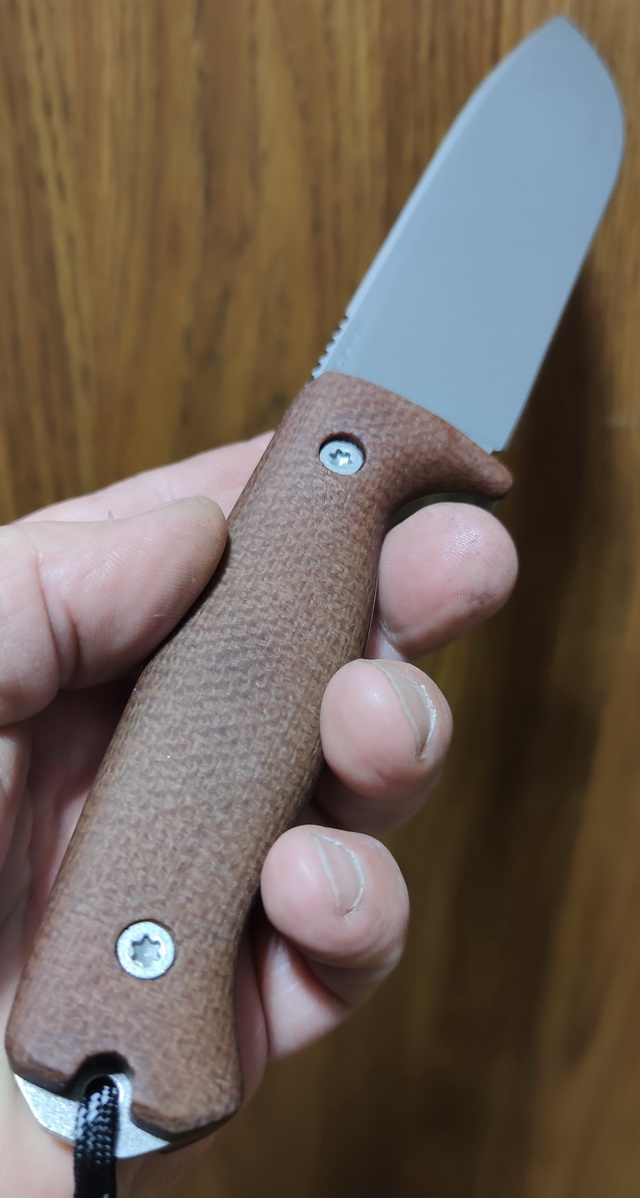 ODC159Sleip_5.jpg