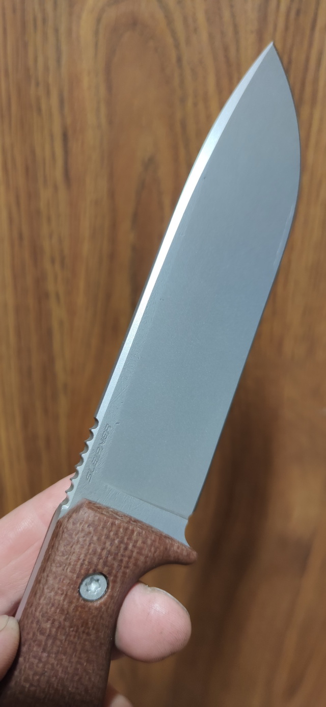ODC159Sleip_6.jpg