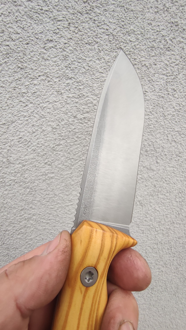 ODC_OL6.jpg