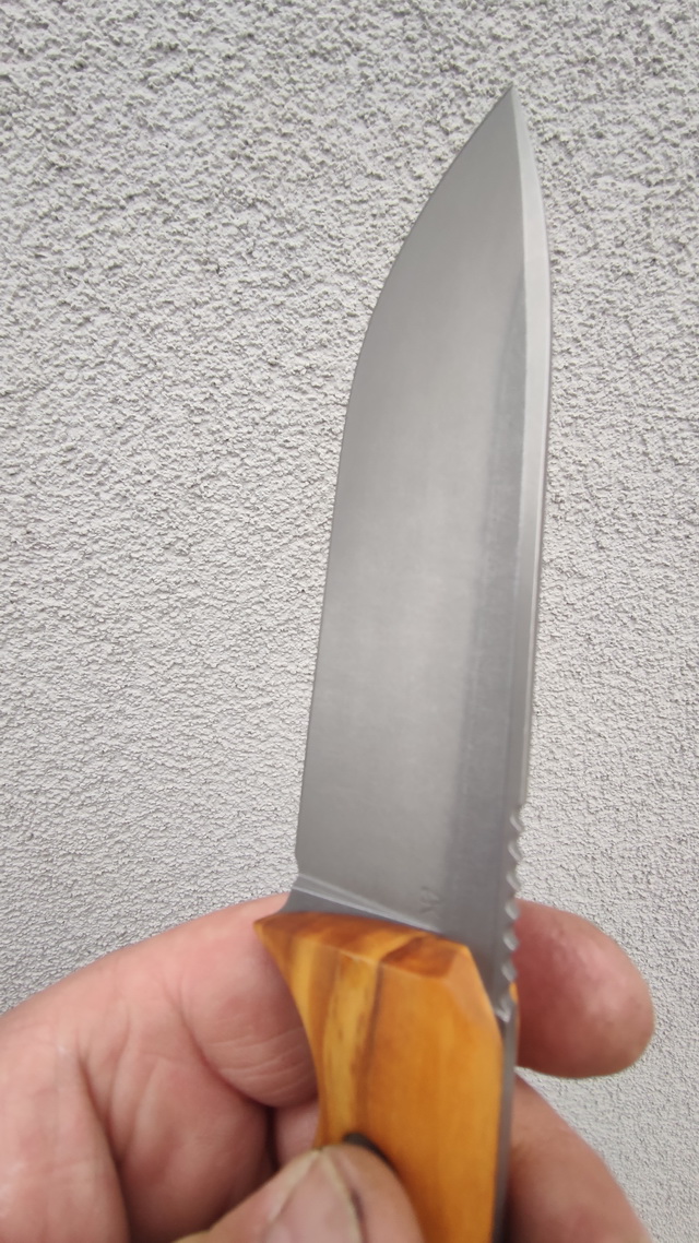 ODC_OL7.jpg