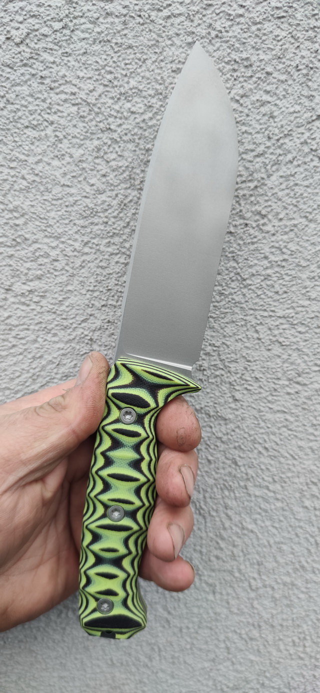 odc_t0.jpg